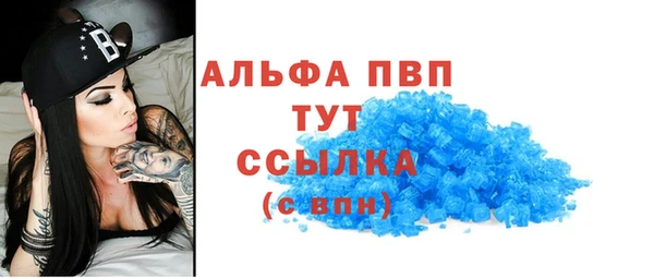 спиды Аркадак