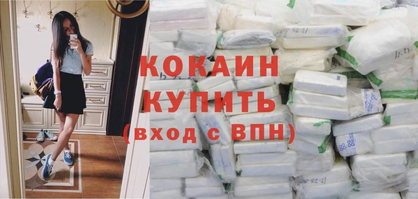 мяу мяу мука Арсеньев