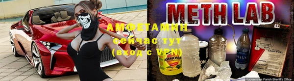 спиды Аркадак