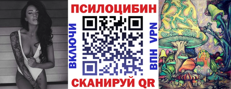 сколько стоит  Ковылкино  Псилоцибиновые грибы Psilocybine cubensis 
